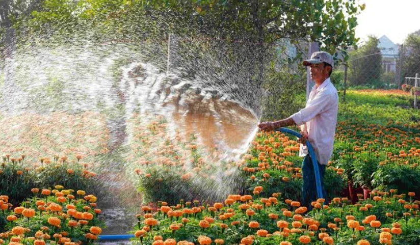 Garden Use Less Water